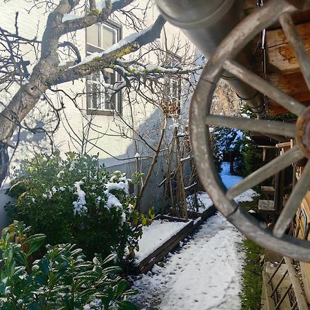 Hisa Hortenzija Luče Exterior foto