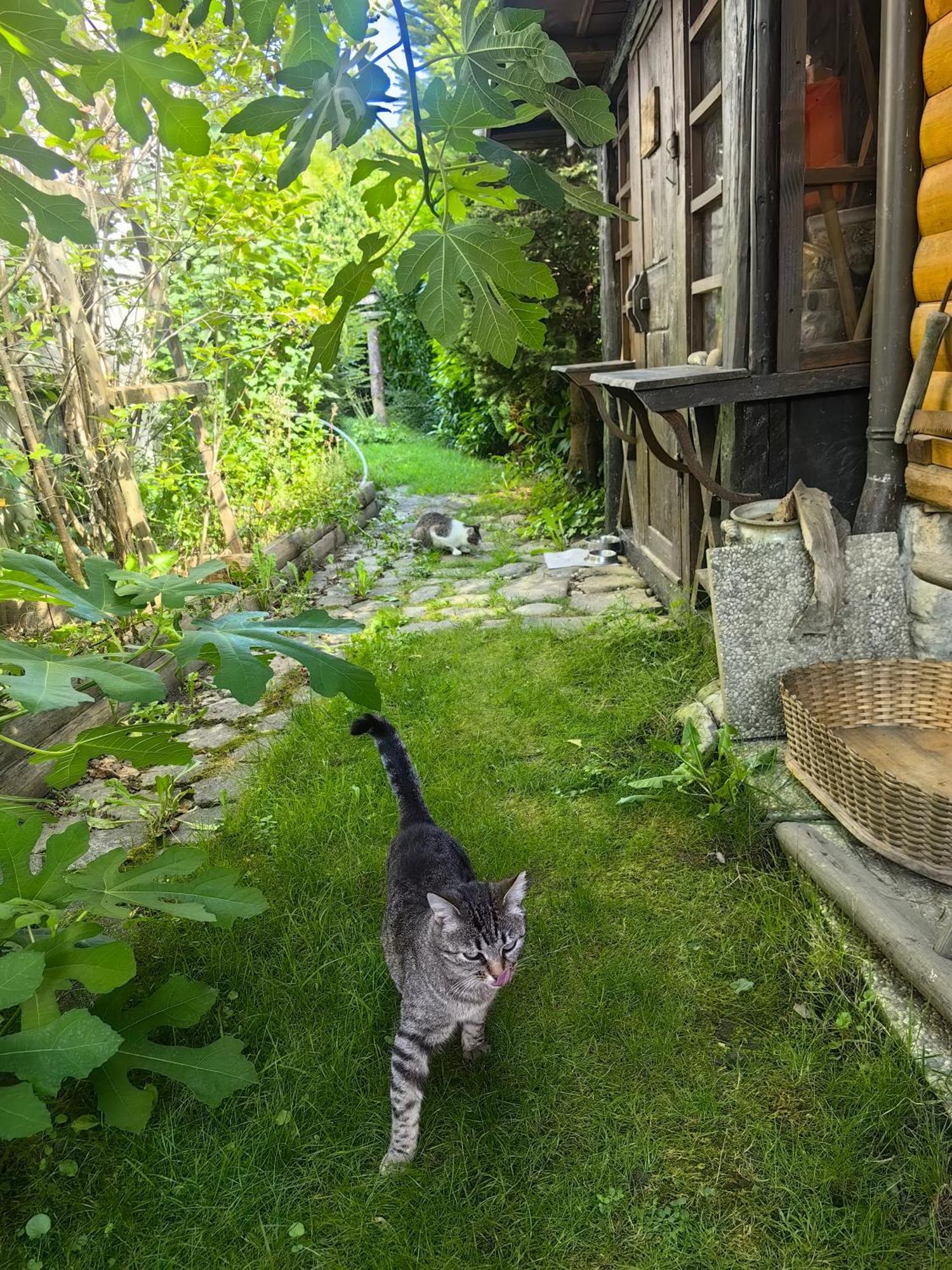 Hisa Hortenzija Luče Exterior foto